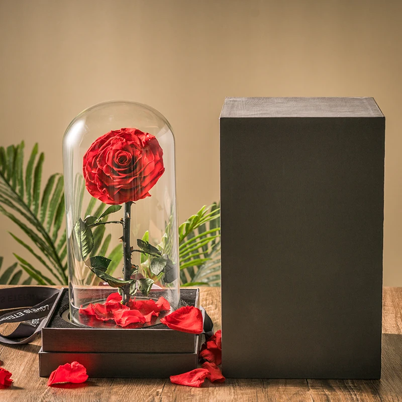 wholesale real eternal rose in Led Light Glass Dome high quality preserved Rose Perfect Birthday Valentines Day Gifts