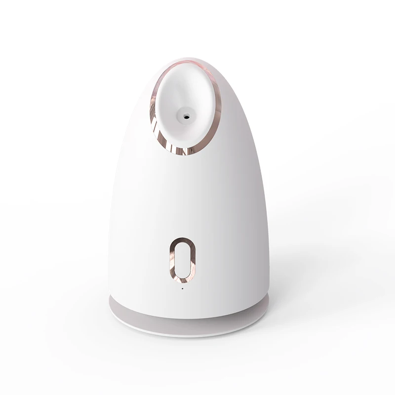 New Product Home SPA Quality Steamer Anti Scalding Temperature Control Technology Nano-thermal Face Sprayer