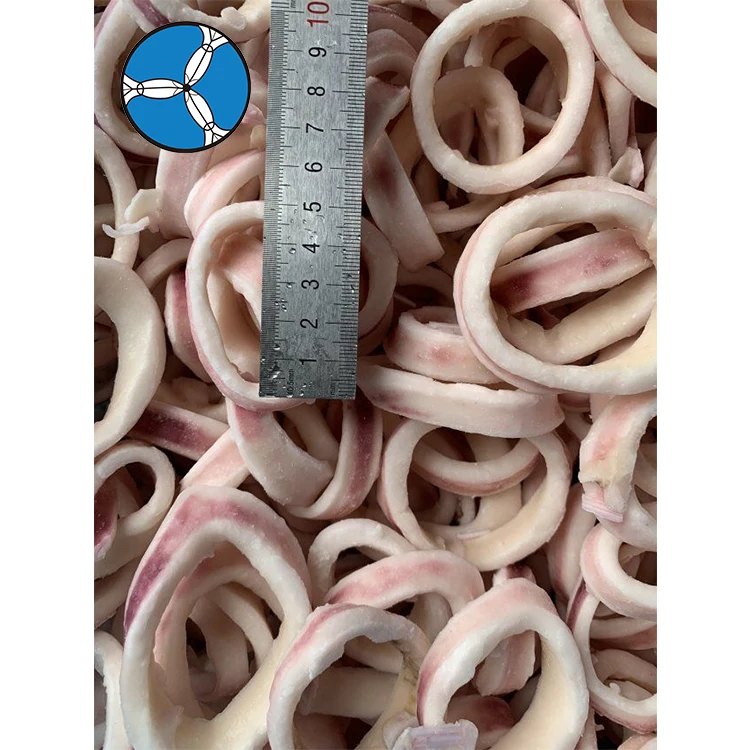 Замороженное кольцо для кальмара Todarodes по хорошей цене
