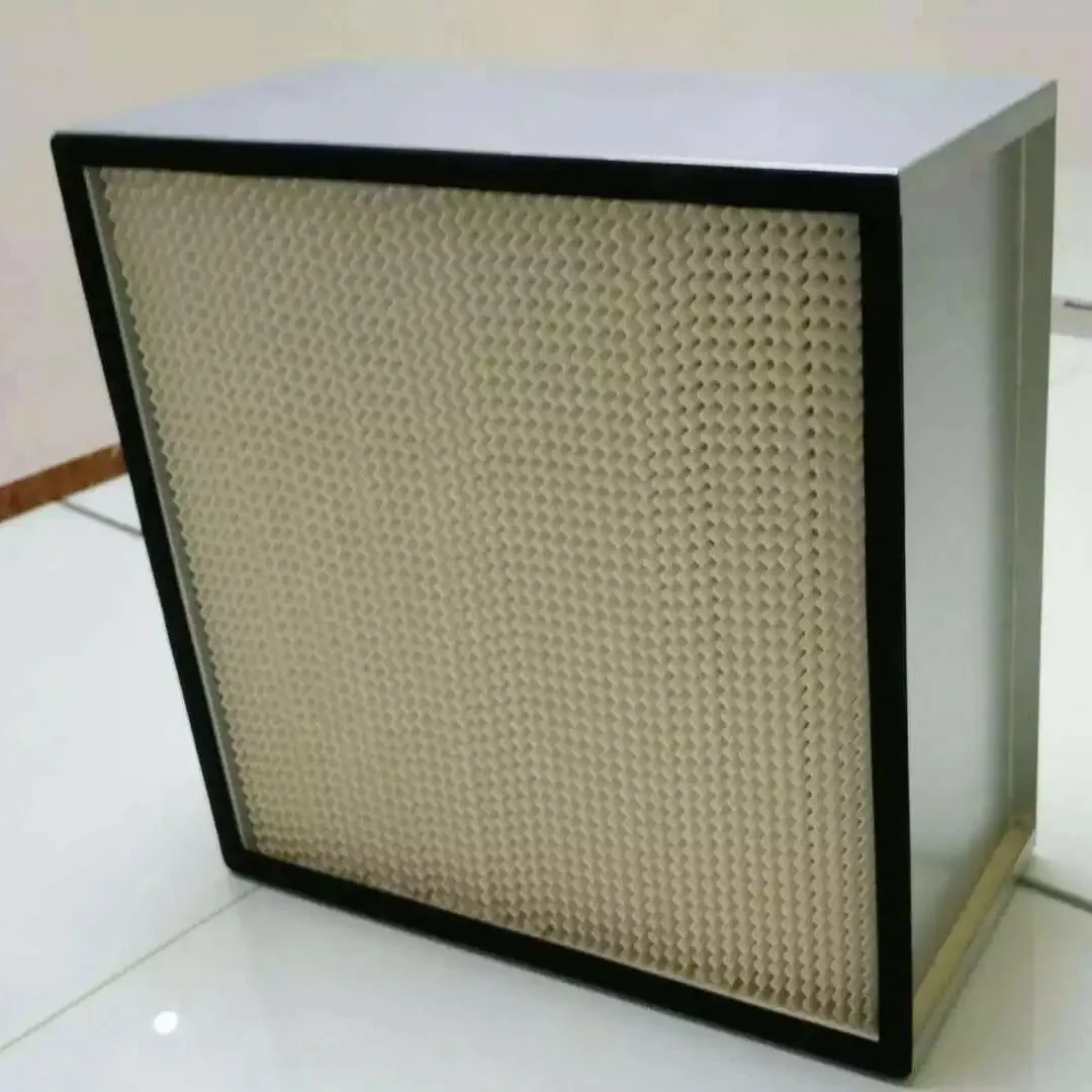 HEPA filter with separator