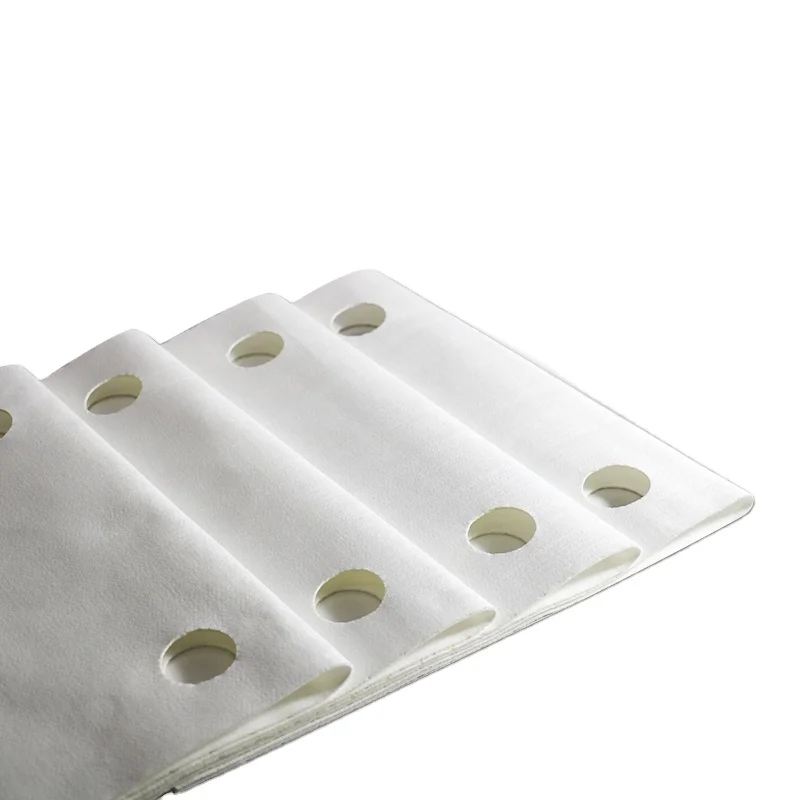 high filtration accuracy polyester filter cloth 0.01 micron polyester PET  for Cellulose acetate filtration