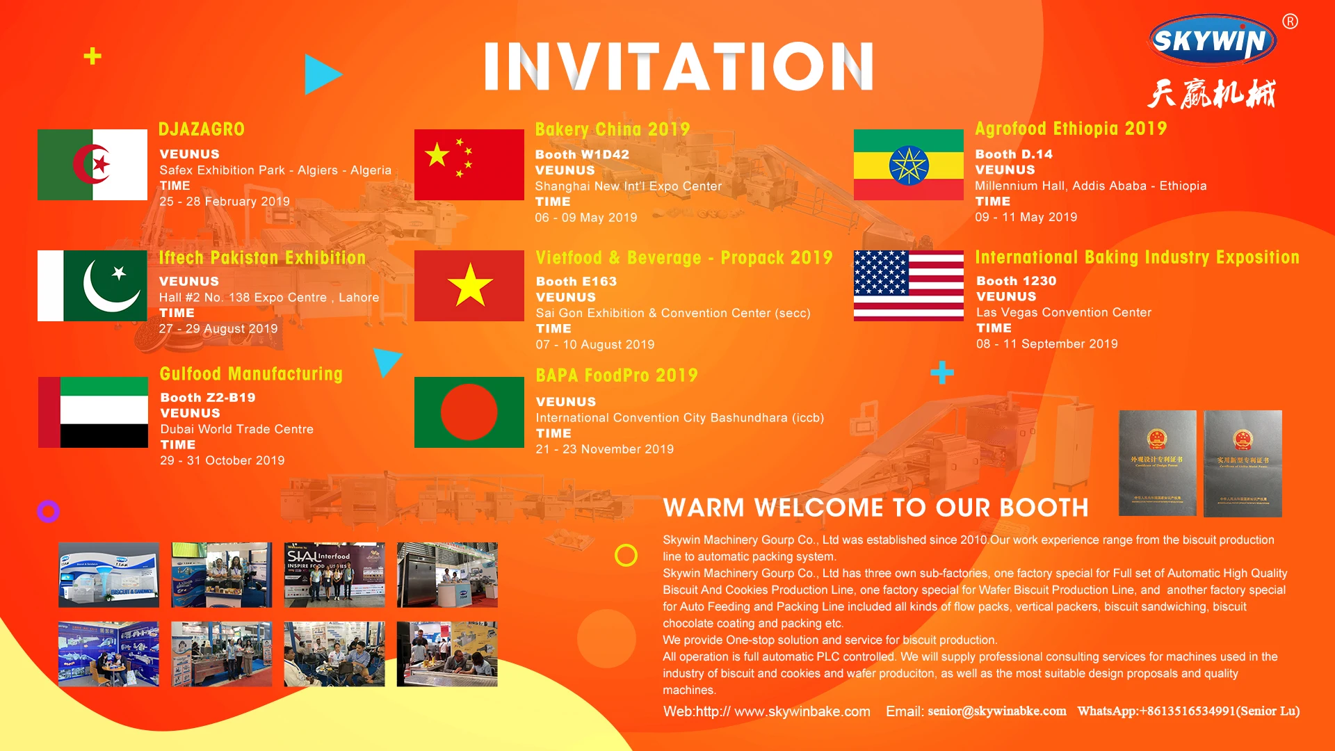 
Chocolate Hello Panda and Cracker Hard Biscuit Making Machine Automatic Production Line Price 