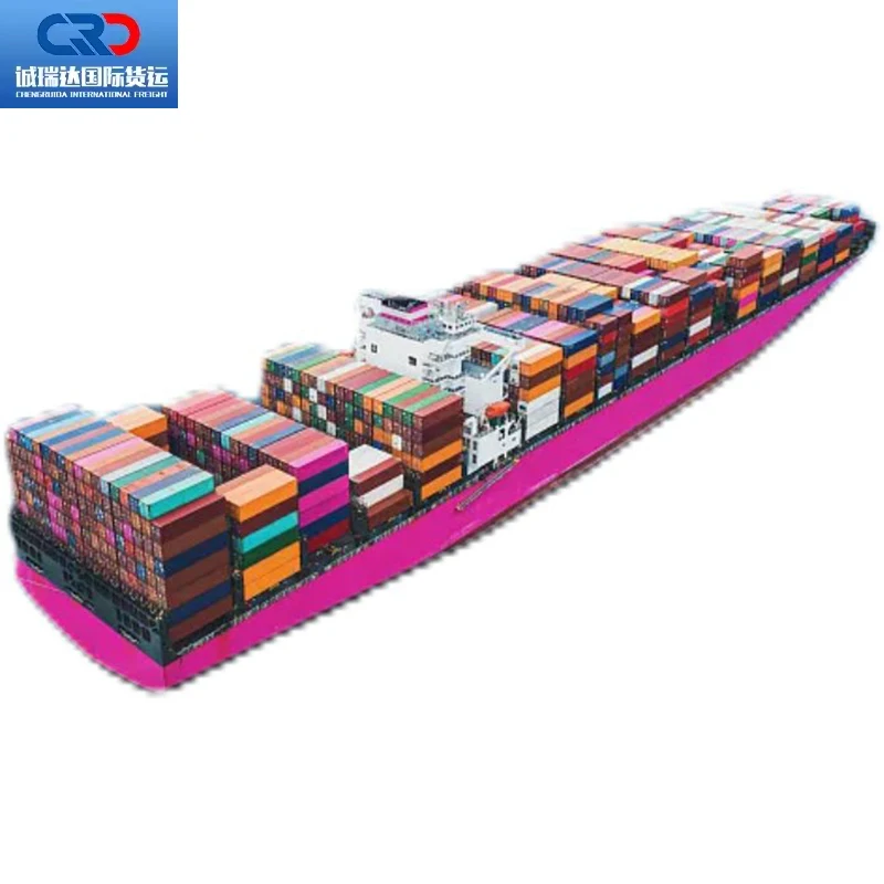 DDP FBA Service LCL Express UPS DHL Air Sea Freight Shipping Agent China to Pakistan Thailand Dubai Saudi Arabia United States