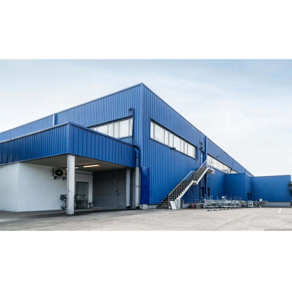 Prefabricated Metal Factory Hangar Hall Building with free design