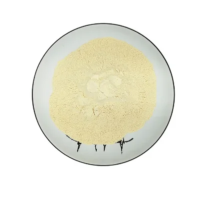 high quality dehydrated garlic powder 80-100 mesh dried garlic powder  sale USA garlic powder