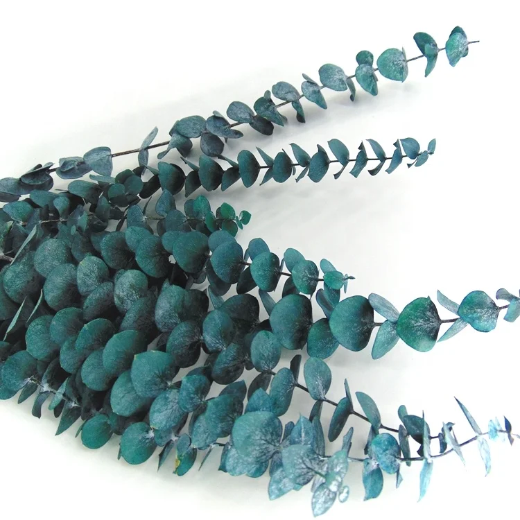 Wholesale price preserved eucalyptus l eucalyptus eucalyptus menthol crystal