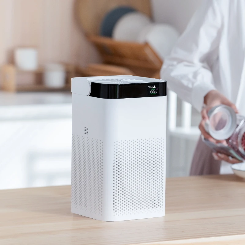 Personal Rechargeable Battery Powered Portable Ozone Generator Air Purifier for Home Car Fridge Outdoor Garage Room Timer Sales