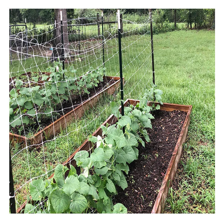 Cheap price extruded trellis net tobacco flower climbing netting jute trellis netting plant trellis climbing net