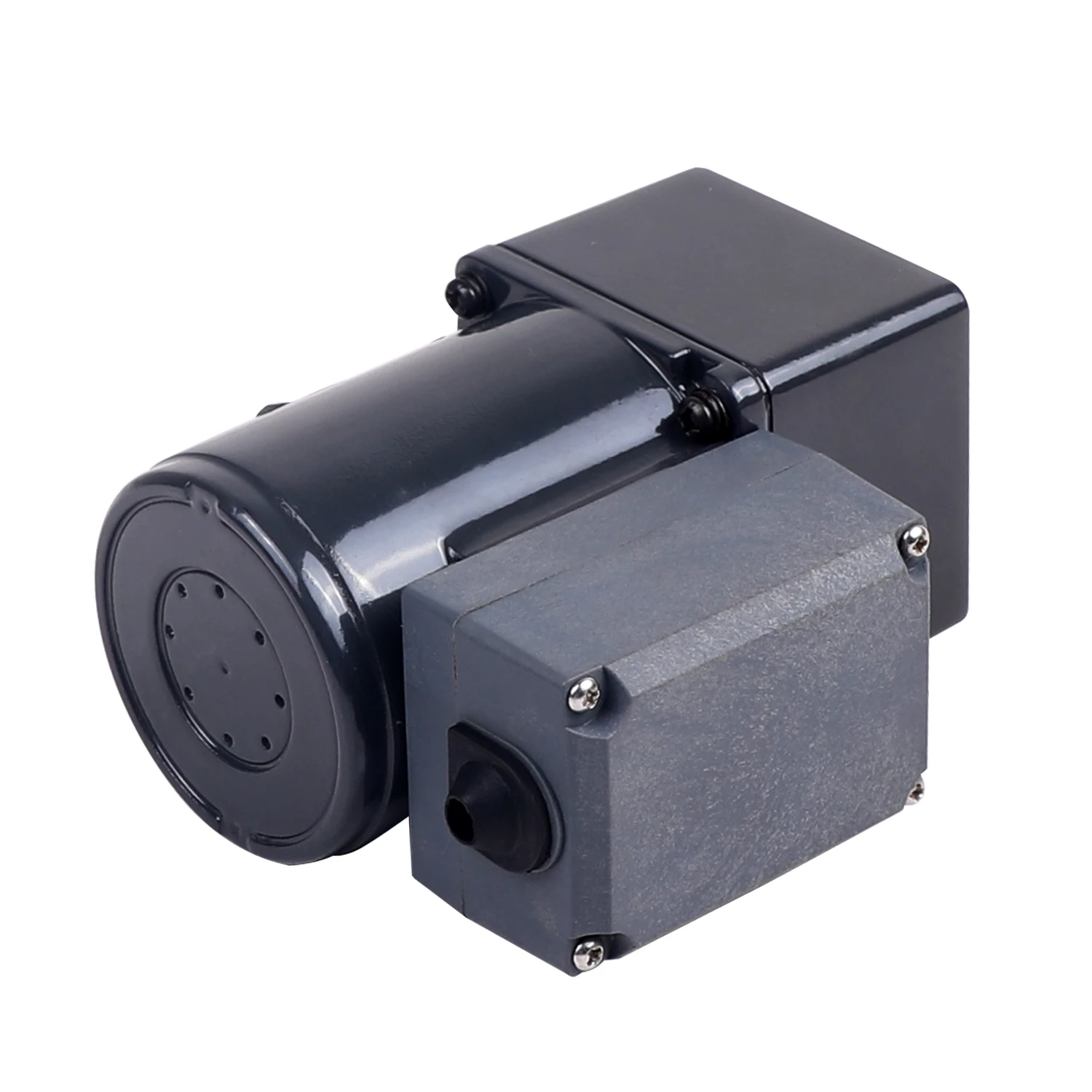 ZD 60mm 110V/220V 10W Electric Induction AC Gear Motor With Terminal Box