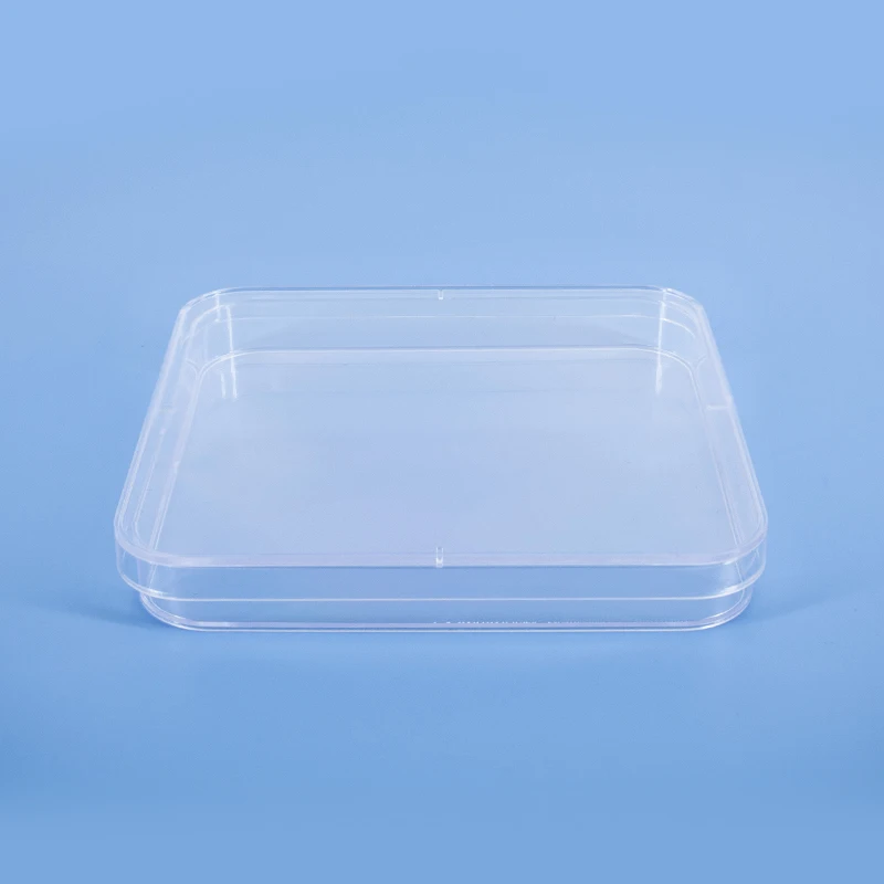 
130mm Clear Borosilicate Glass Petri Dish with Lids Petri Dish for Microscopy Disposable Plastic Transparent 