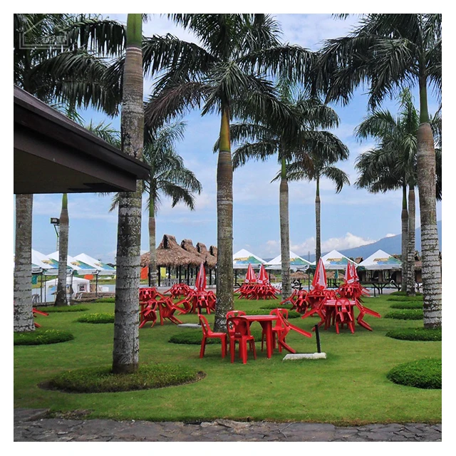 Custom Printing Exhibition Display Gazebo Wedding Party Waterproof Canopy Tent