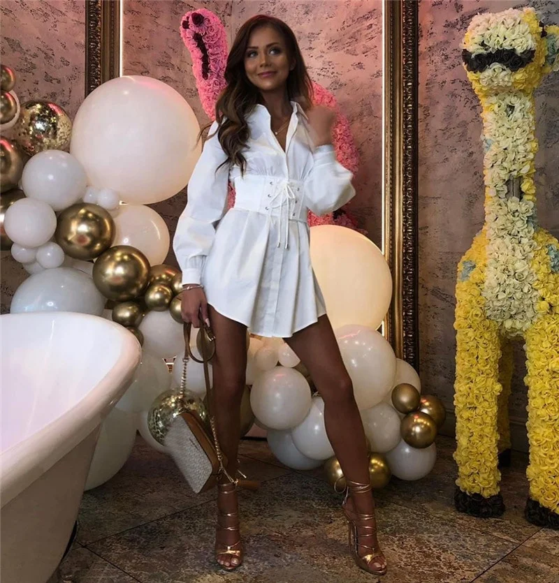 
Long Sleeve Party Dress Women Sexy Autumn Casual Fashion Vintage Corset-style Belt Dress 