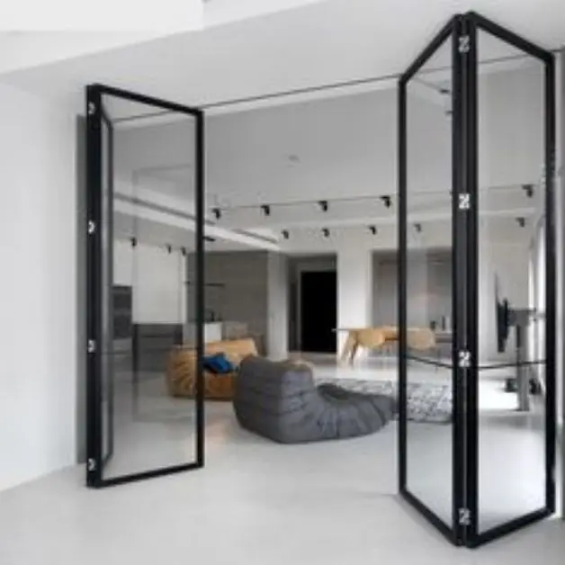 Modern House Design Solid Steel W37 Crittal Folding Door with Tempered Glass 2023 New Design Exterior Door and windows
