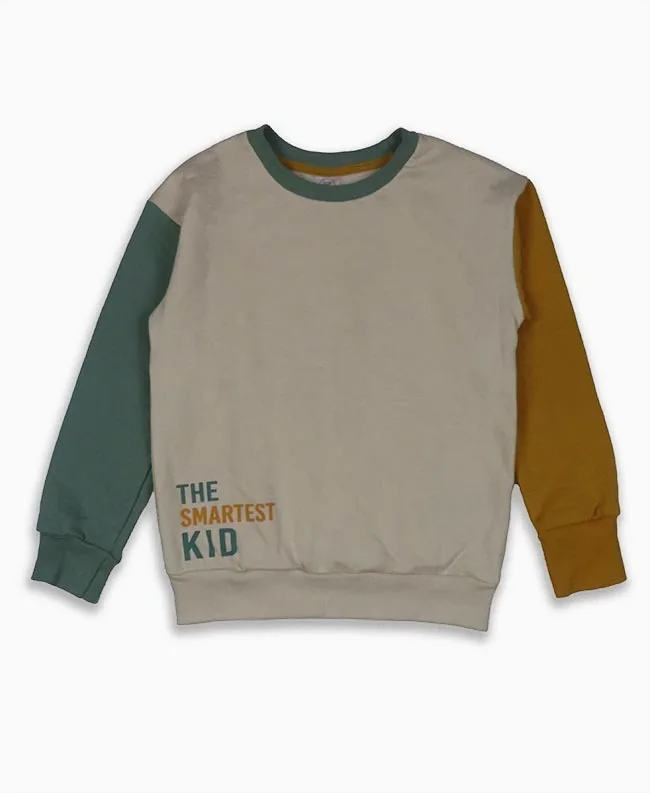 Top Quality 100% Cotton Knitted Brushed Fleece 230 GSM Boys Crew Neck Pullover Sweatshirt from India Export