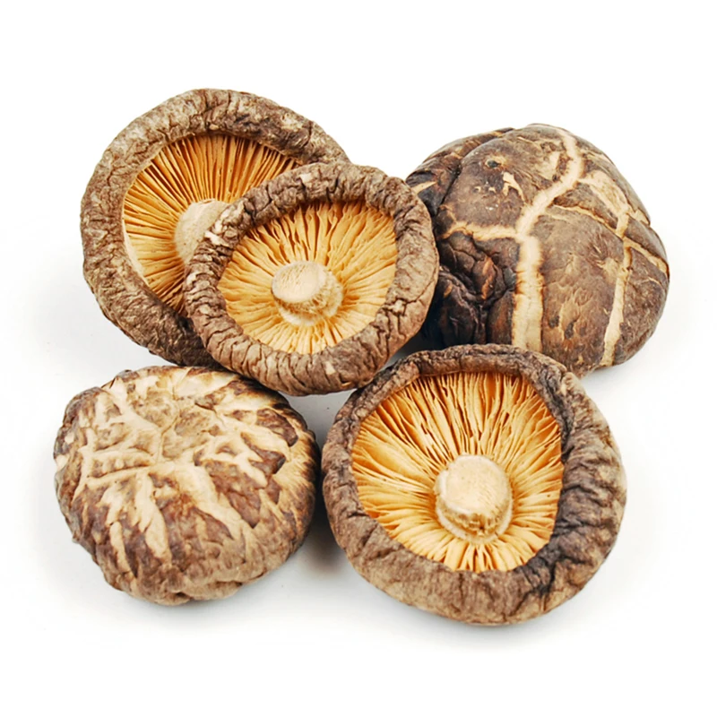 Оптовая продажа, высококачественные органические сушеные вкусные грибы shiitake