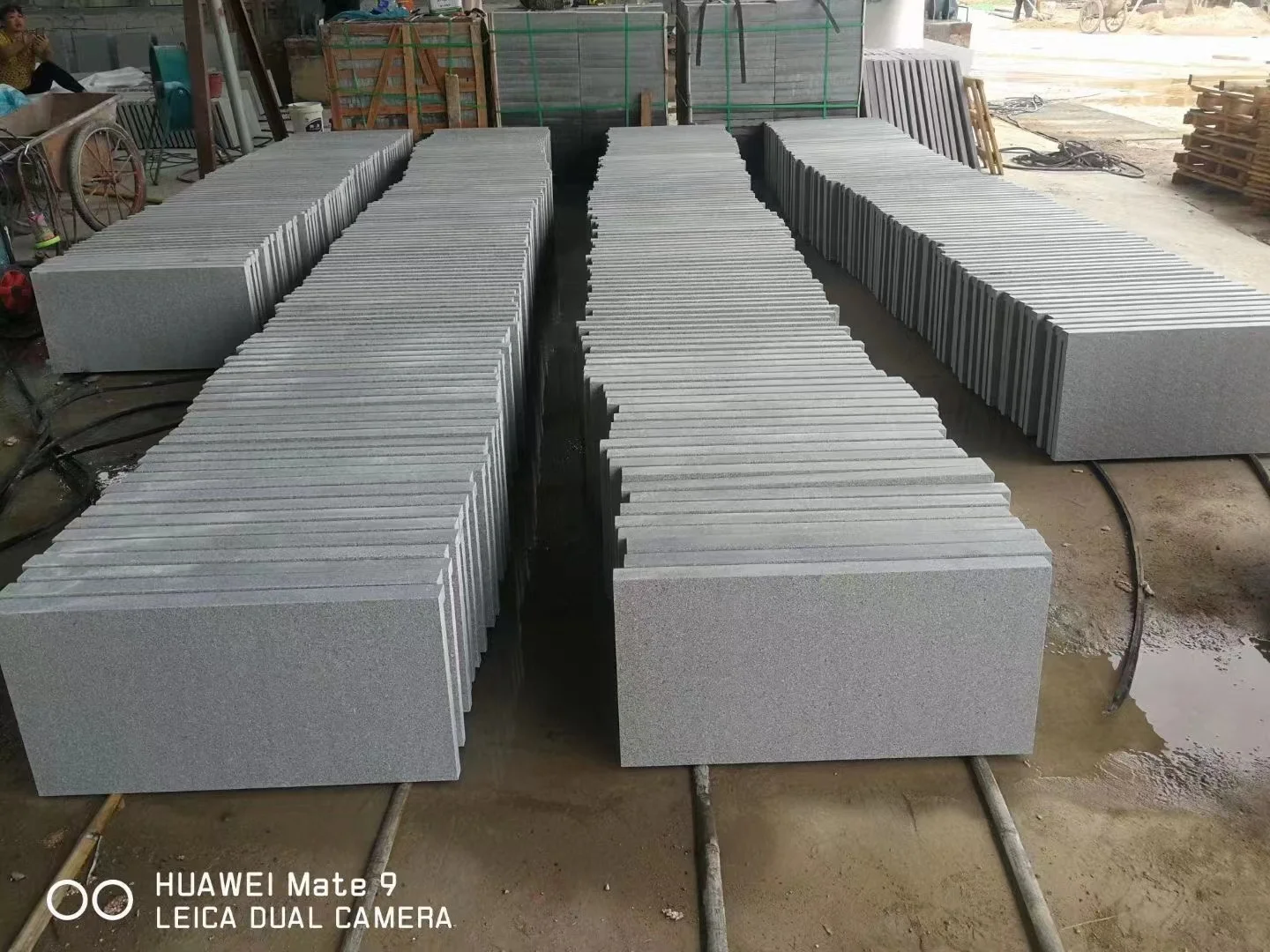 Pool coping stone G633 grey granite swimming paving Slab