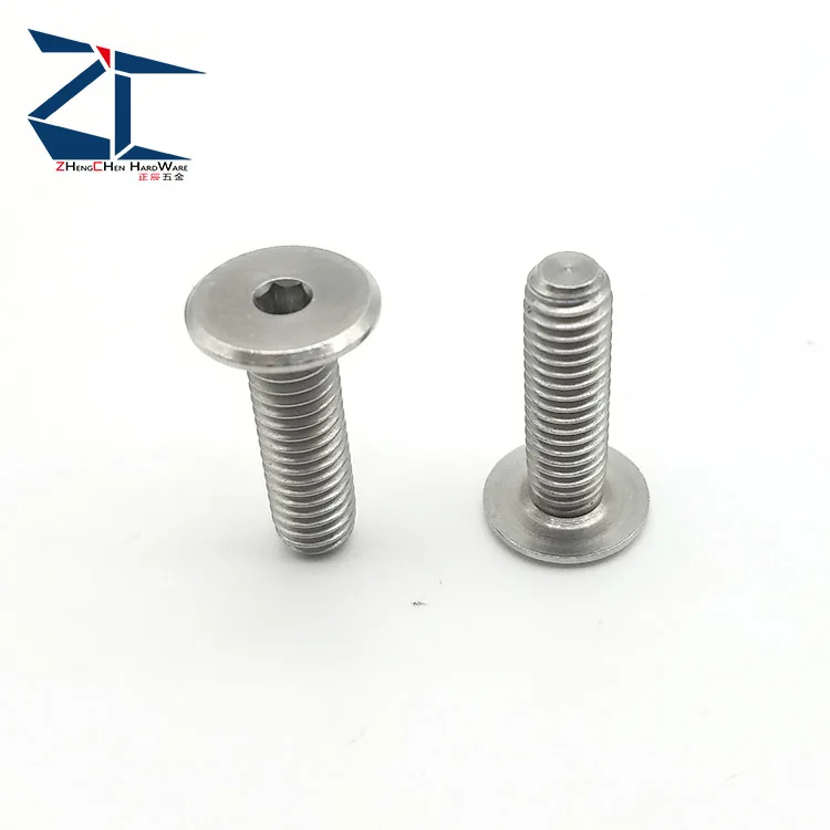 Early Bird Special Stainless Steel CBSTSR Ultra Low Head Hexagon Socket Cap Screws