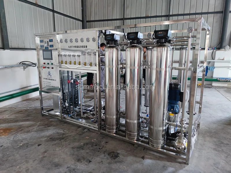 Ro plant 1000lph Ro planta purificadora de agua osmosis inversa water filter system