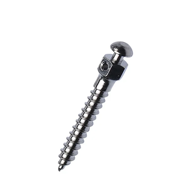 
orthodontic dentur implant screws Titanium mini szie 