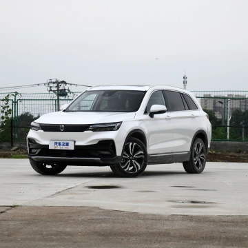 2021Skyworth новый электромобиль suv 150