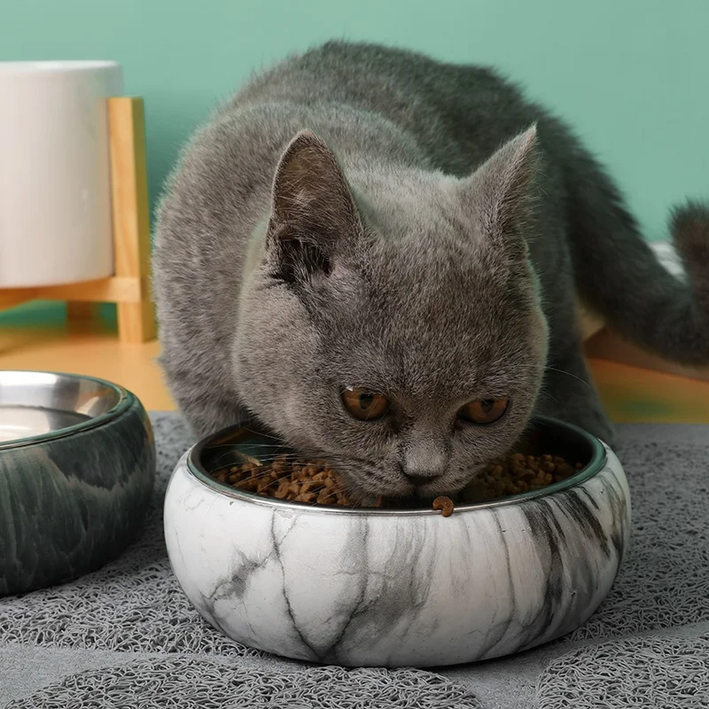 Pet Water Bottle bone shape dog bowl pets bowl for dog cat ergonomic pet bowls