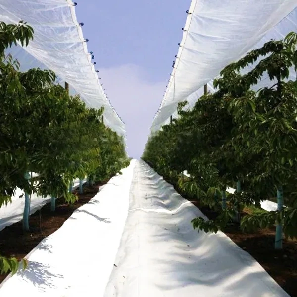 Grape orchard tarpaulin anti big rain hail kiwi berry orchards protection waterproof cherry cover