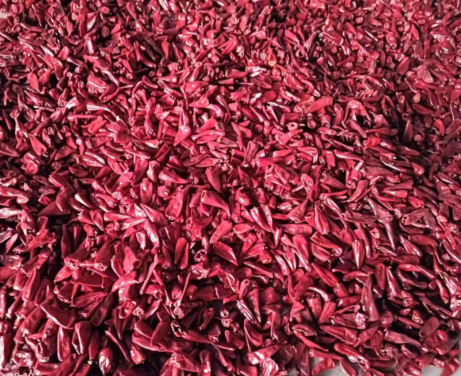 Dried Red Chili  Dry Hot Pepper  Chinese Dried Red Chilli