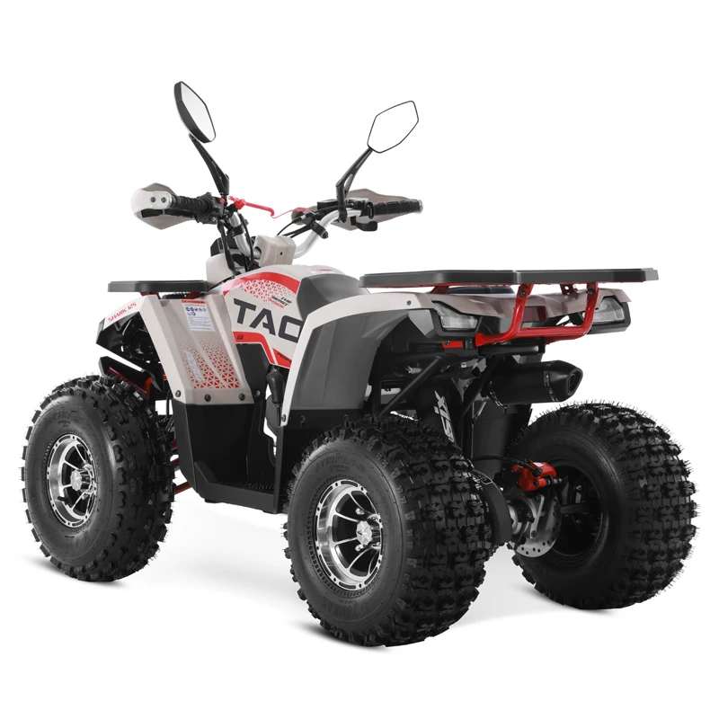 Tao Motor 2024 New Alloy Rim Chain Drive Automatic 1+1 125cc ATV Chinese Cheap Farm ATV 125