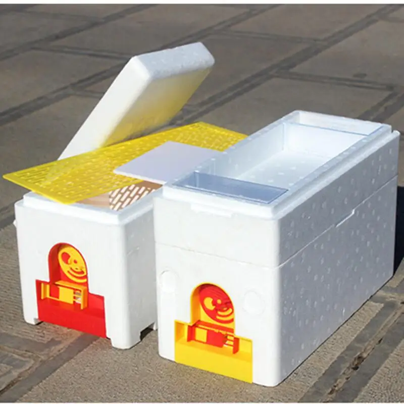 Best Quality Hony Bee Box Queen Bee Terrarium Bee Box Honey for Beekeeping Equipment