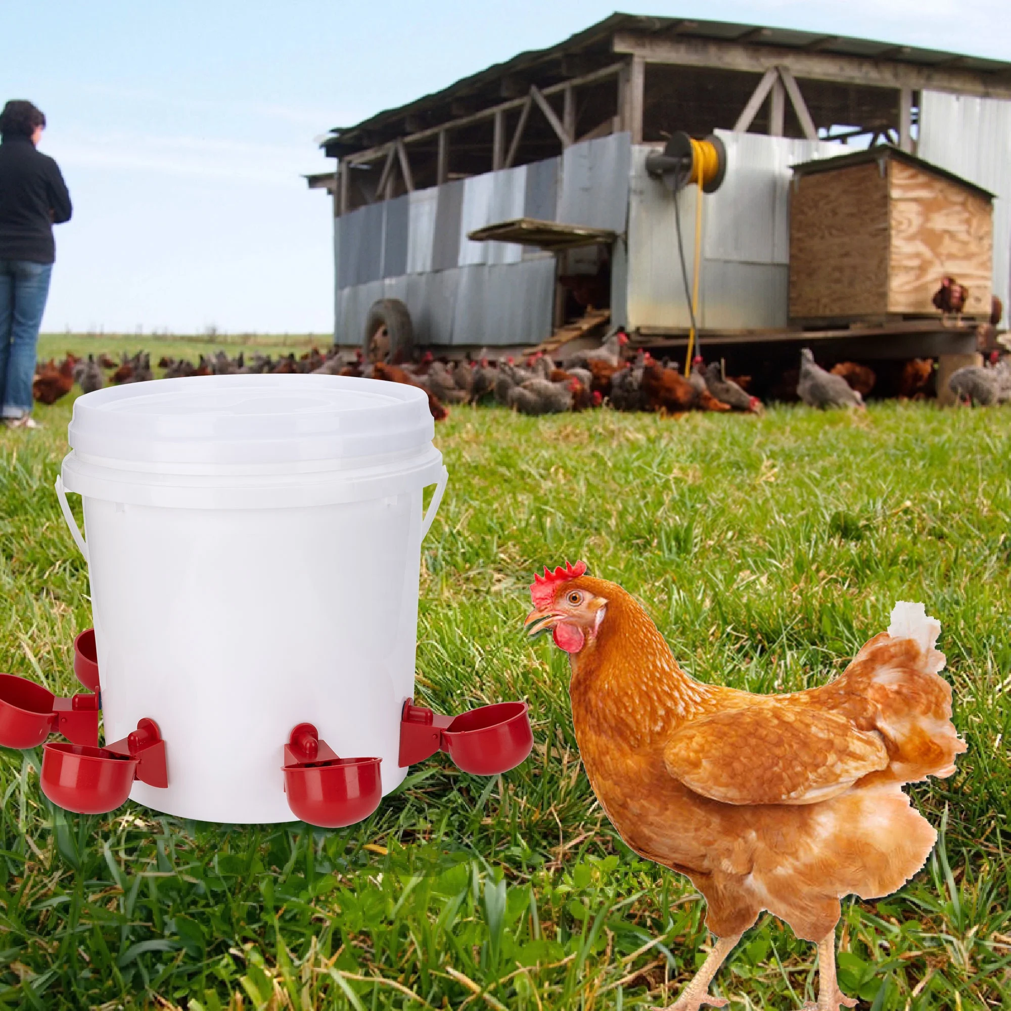 Poultry Farm Broiler Feeding Poultry Water Drinkers Plastic White Plastic Chicken Drinkers With Bucket