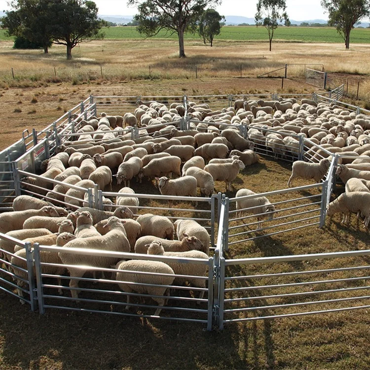 5ft 6ft 7ft 8ft galvanized ranch cattle horse fence panels