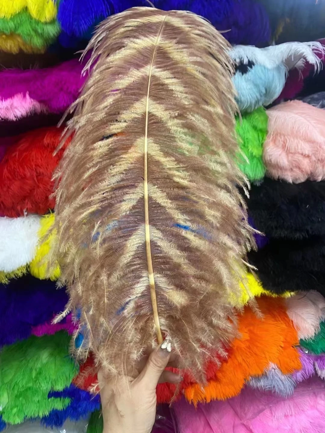 Wholesale trimmed decoration zebra ostrich feathers quill plume for large feather wings costume set