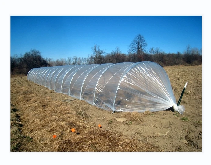 Factory Cheap Low Tunnel Greenhouse Lowe Tunnel Hoops Large Scale Strawberry Agricultural Greenhouses