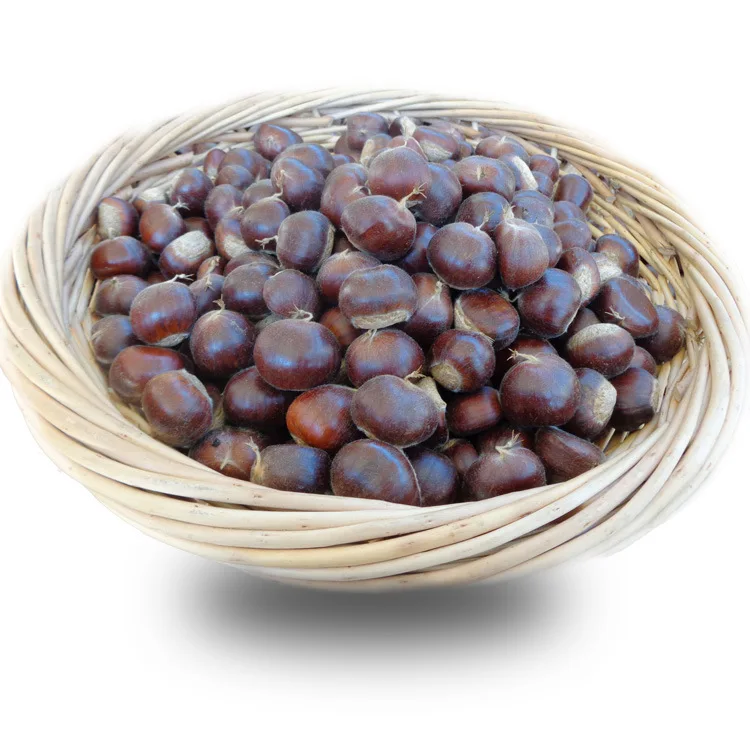 Chestnut and nuts for export and first hight quality chestnut from China