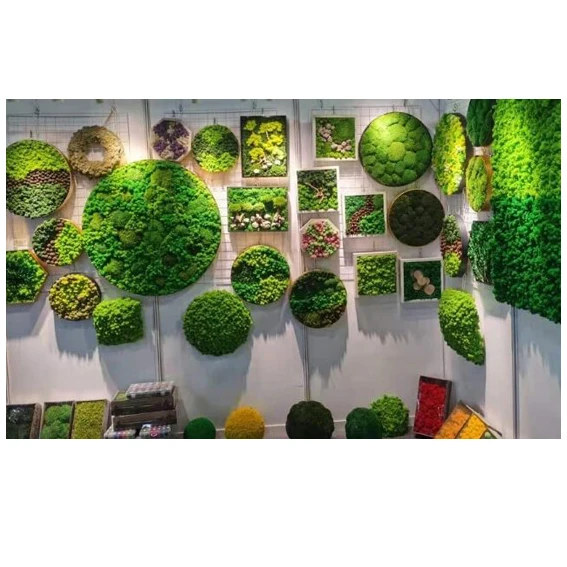 Free size artificial real preserved live moss wall art moss Picture Frame decorations panel artificial moss grass wall