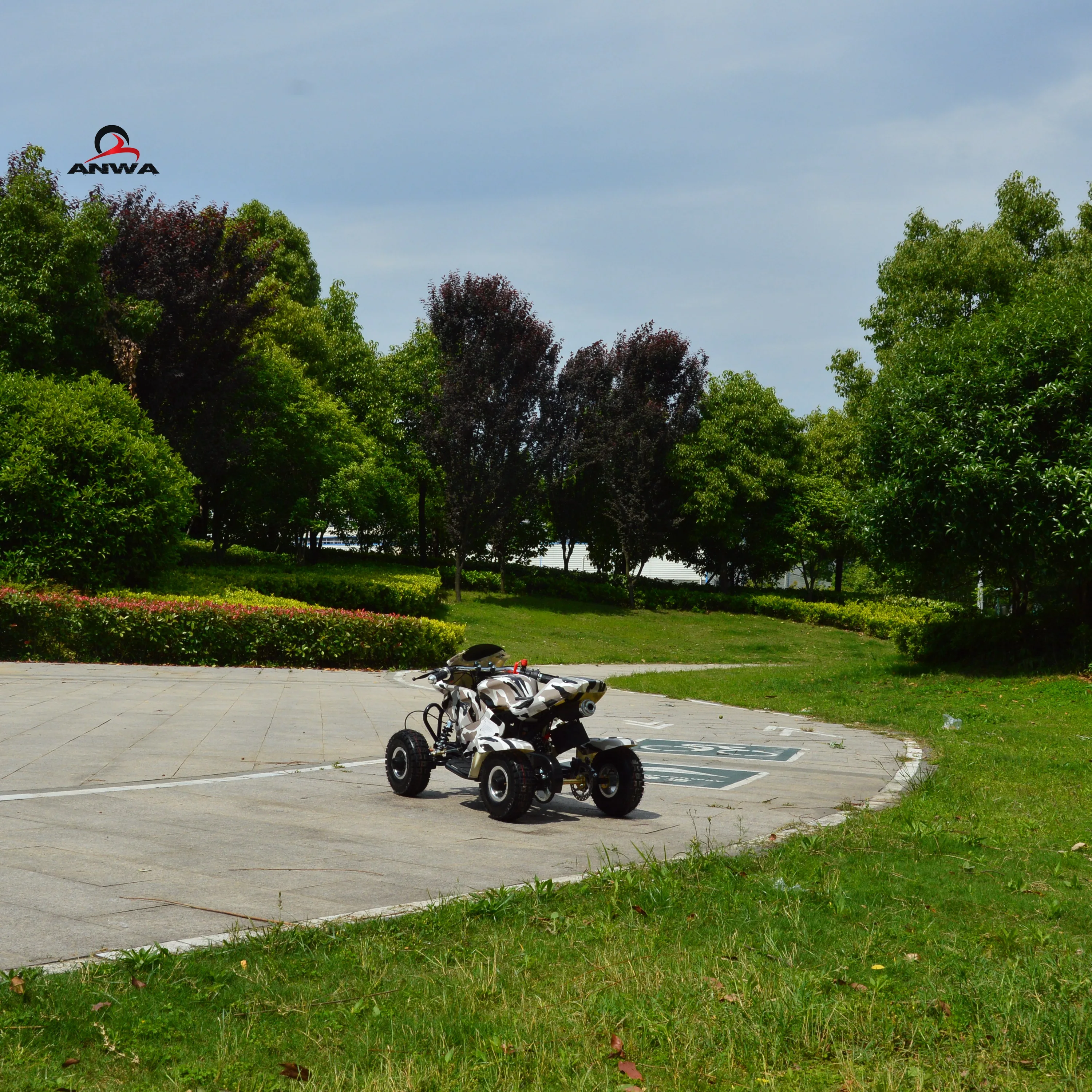 2 Stroke 49cc Mini Bike for Kids pull start/Children fuel Motorcycle/Gasoline Motorcycle