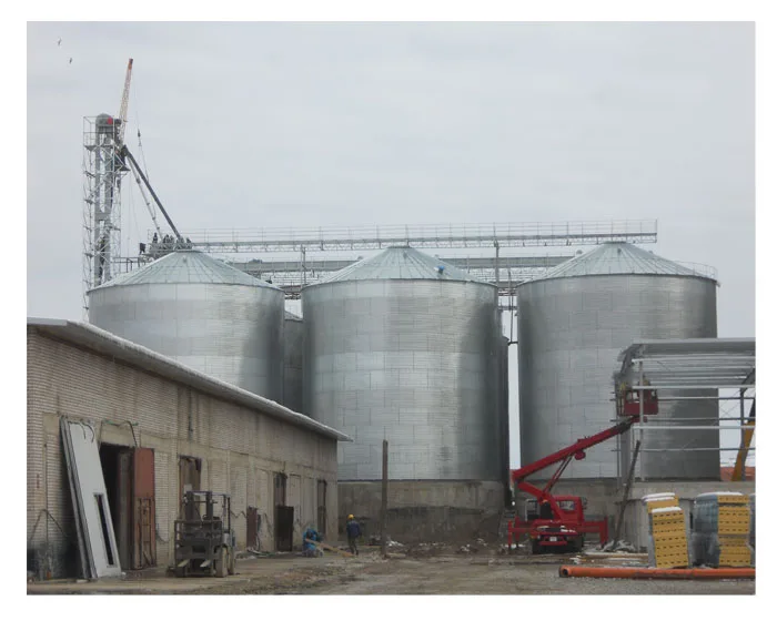 200 Ton Sorghum Grain Silo 500Ton 1000Ton 200Ton 5000Ton Grain Silo Price Chicken Feed Silo