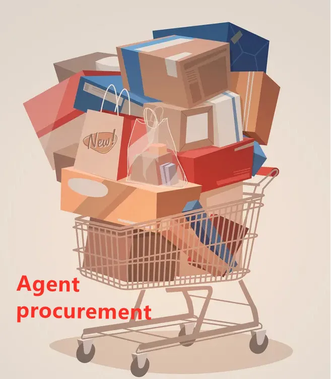 Китайский агент, покупающий все виды роскошных известных брендовых сумок, китайский веб-сайт, агент по закупкам, дешевая комиссия, быстрый ответ