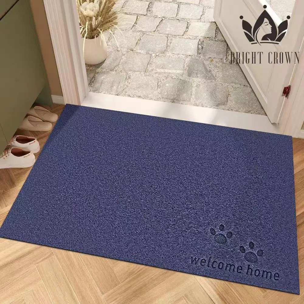 Customized Plain laser door mat cost-effective Home polyester floor mat TPR backing indoor and outdoor floor custom welcome mat