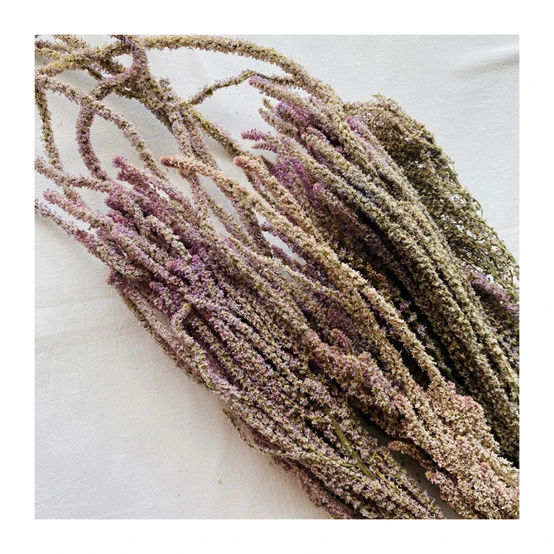 
2021 New Flower Shop Popular Yunnan Hot-selling Dried Amaranth For Wedding Home Decoration 