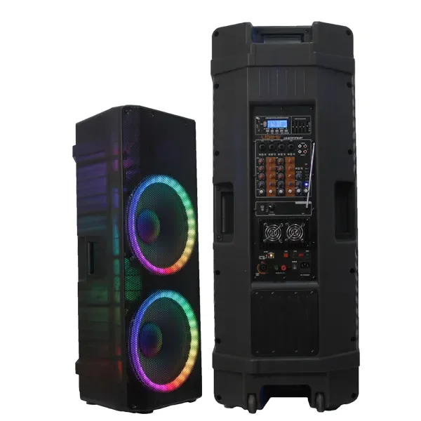 Double 15inch Rechargeable Battery Speaker RGB Lighting Plastic Active Wireless Microphones