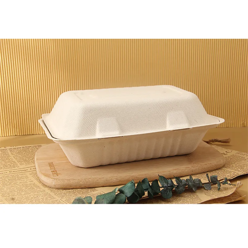 Compoastable White Food Boxes Disposable Clamshell Box Takeaway Food Packaging Sugarcane Bagasse Food Container