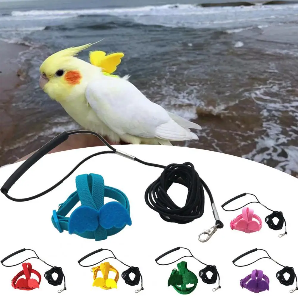 Long Cable Bird Harness Leash Anti-Bite Training Rope Decorative Lightweight Parakeet Parrot Vest Rope for Bird
