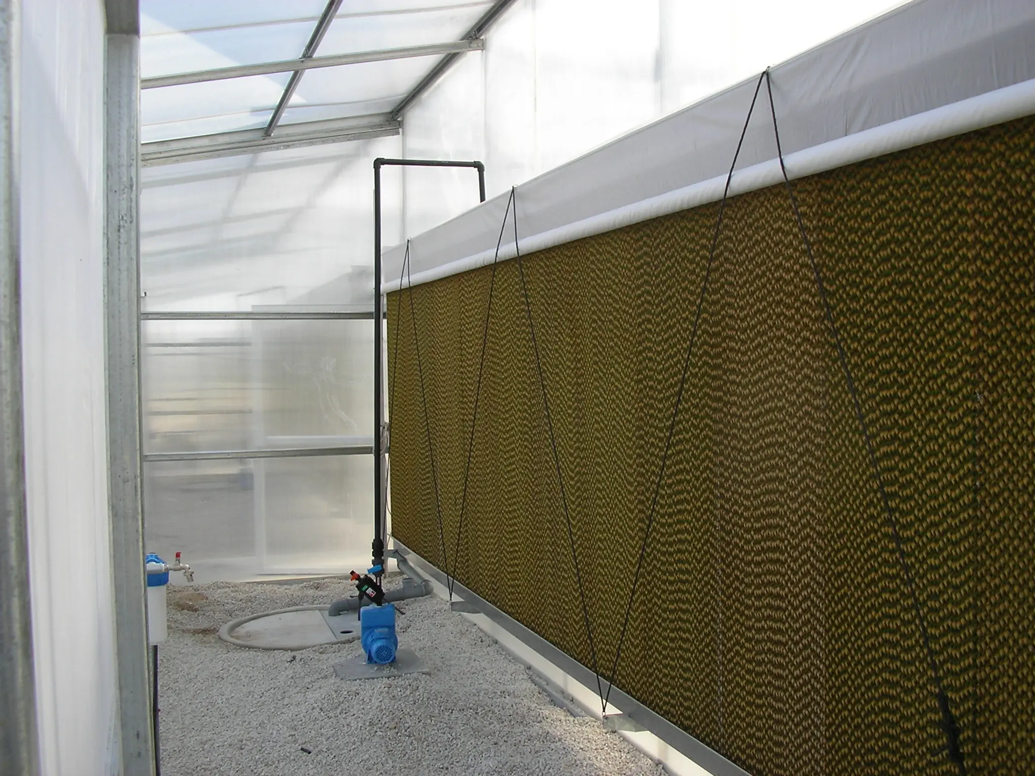 Wed Pad for Simple (2).jpg