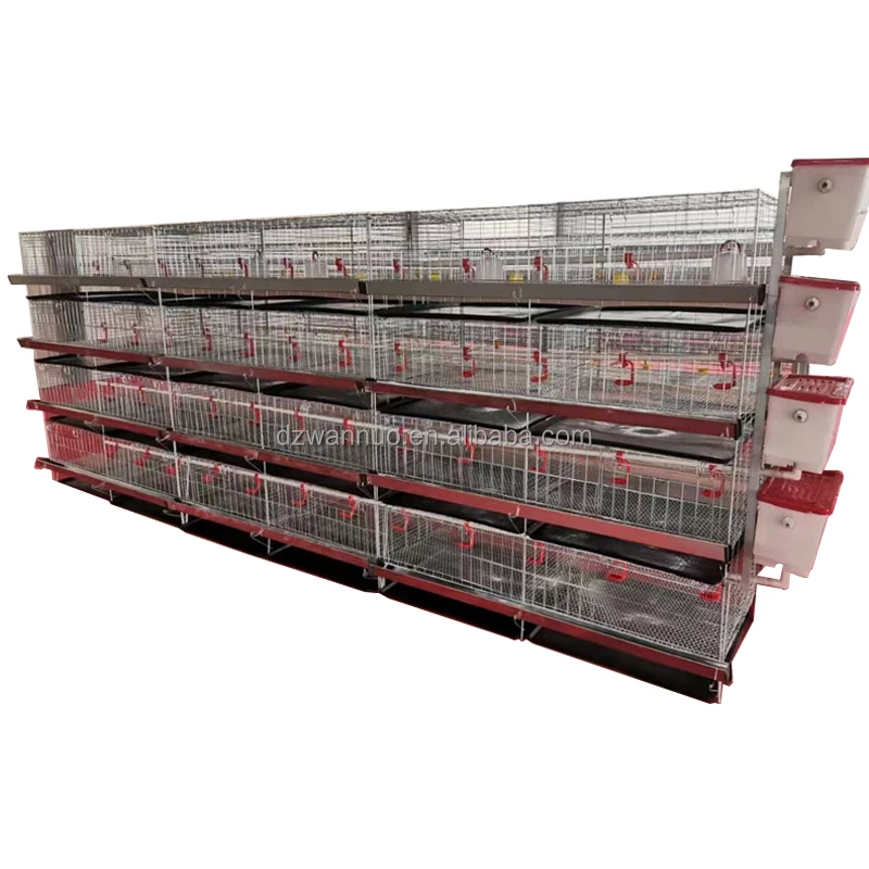 Poultry Farming Equipment Automatic Drinking Battery H Type Broiler Chicken Breeding Cage Motor New Product 2020 Provided 10sets