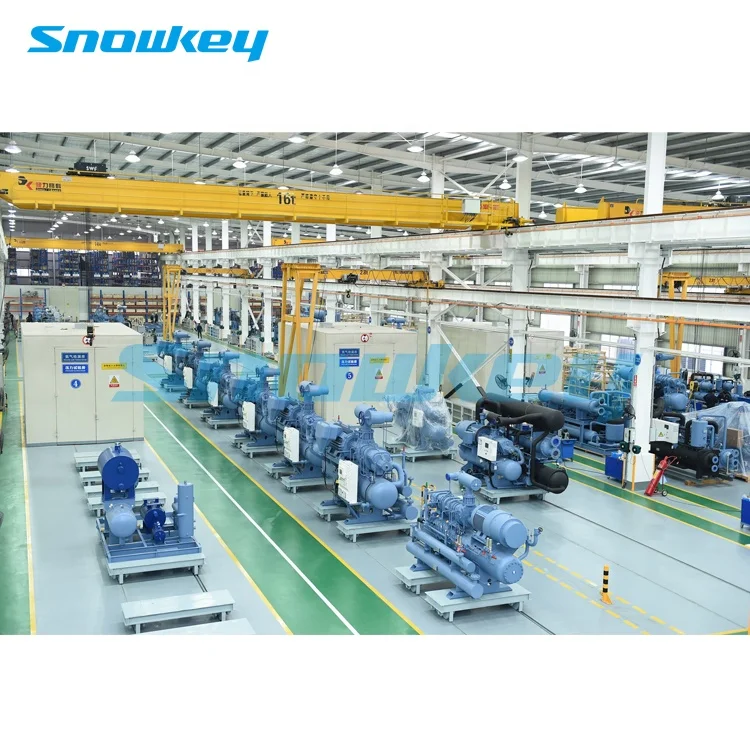 
Refcomp SRC-S-213-L4H Compressor for Cold Room 