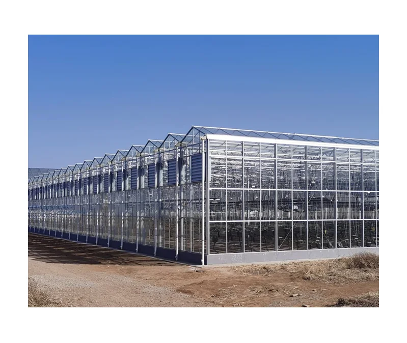 Multi span glass greenhouse planting vertical farming Nft hydroponic system