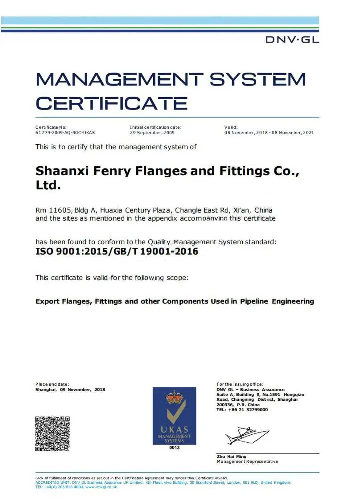 Sfenry Standard Fitting High Pressure Forged Fittings A106 GR.B Nipple BS 3799 A105 3000 LB Male EQUAL