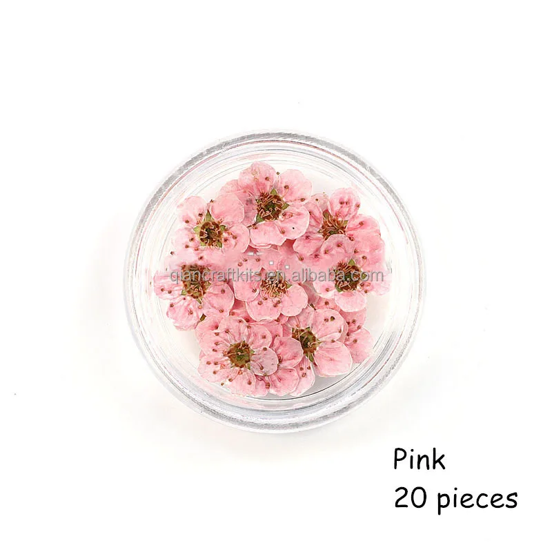 flower (9).jpg