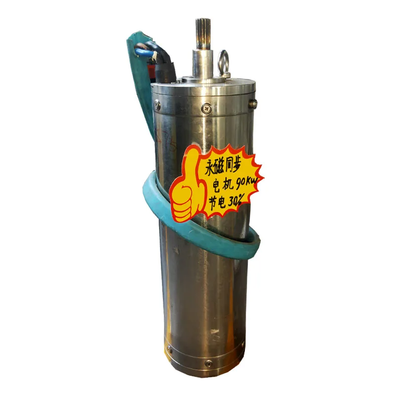 Permanent Magnet Electric Motor Water Spray Pump